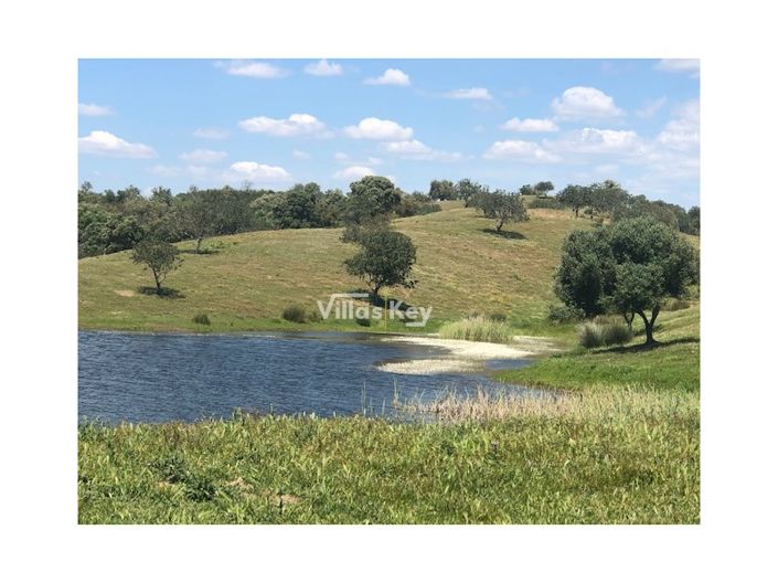 Image No.8-8 Bed Farmhouse for sale