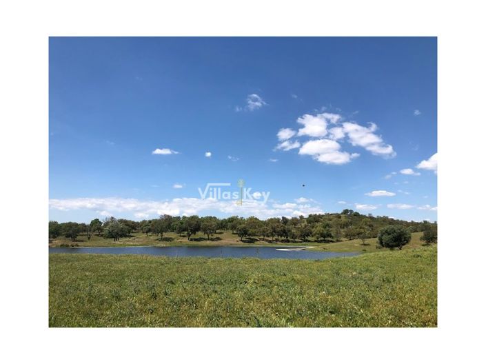 Image No.9-8 Bed Farmhouse for sale