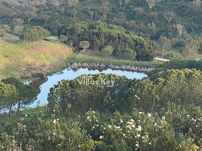 Image No.24-Plot for sale