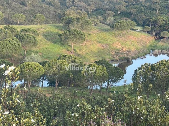 Image No.8-Plot for sale