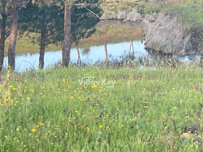 Image No.10-Plot for sale