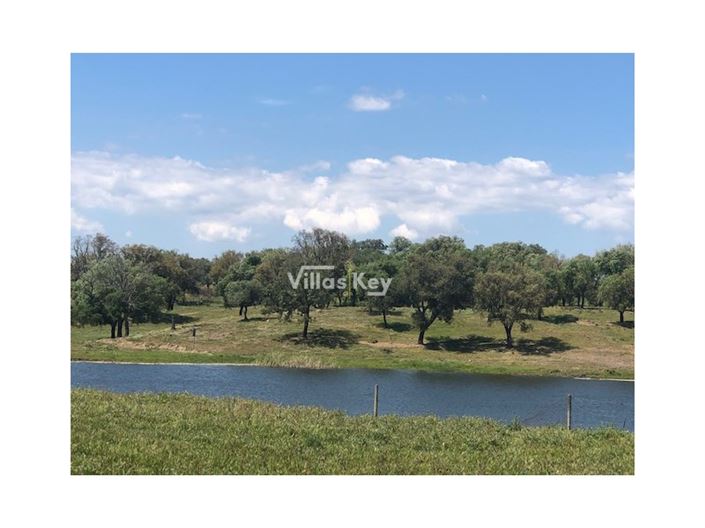 Image No.5-Plot for sale