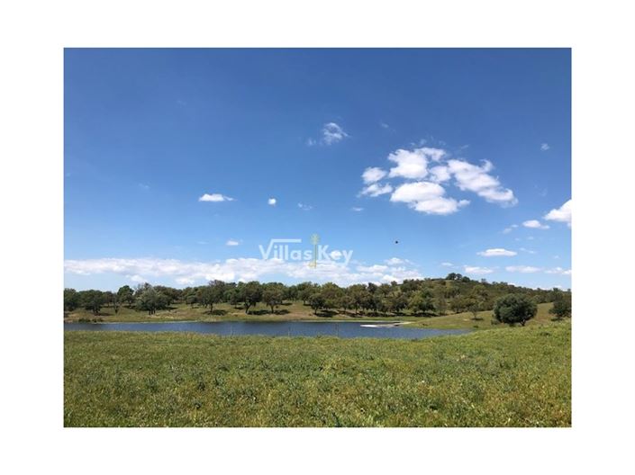 Image No.10-Plot for sale