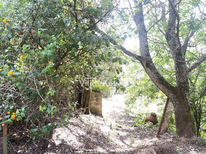 Image No.32-2 Bed House for sale