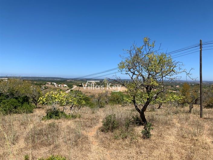 Image No.12-3 Bed House for sale