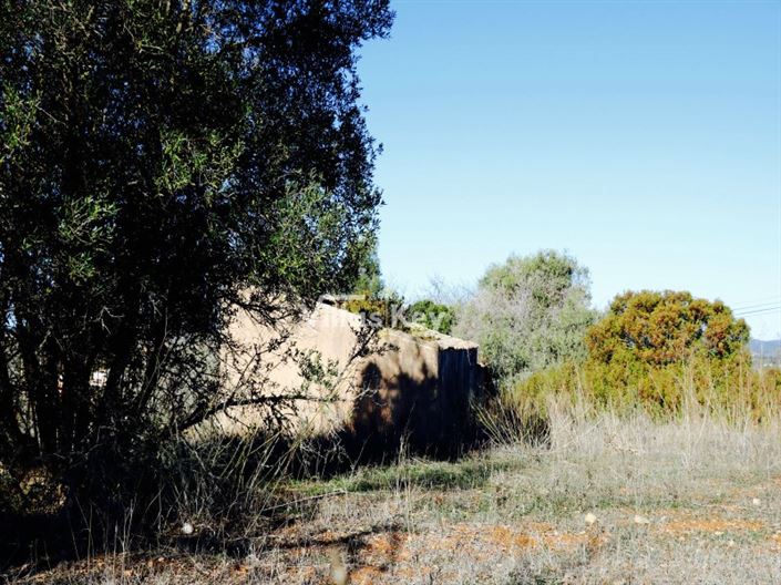 Image No.14-3 Bed House for sale