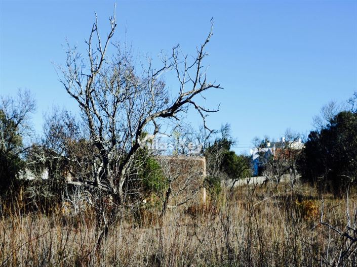 Image No.18-3 Bed House for sale