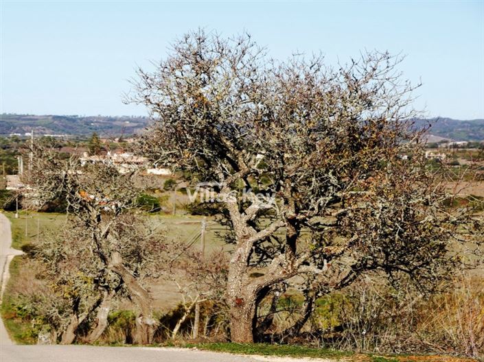 Image No.19-3 Bed House for sale