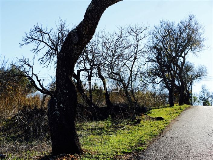 Image No.21-3 Bed House for sale