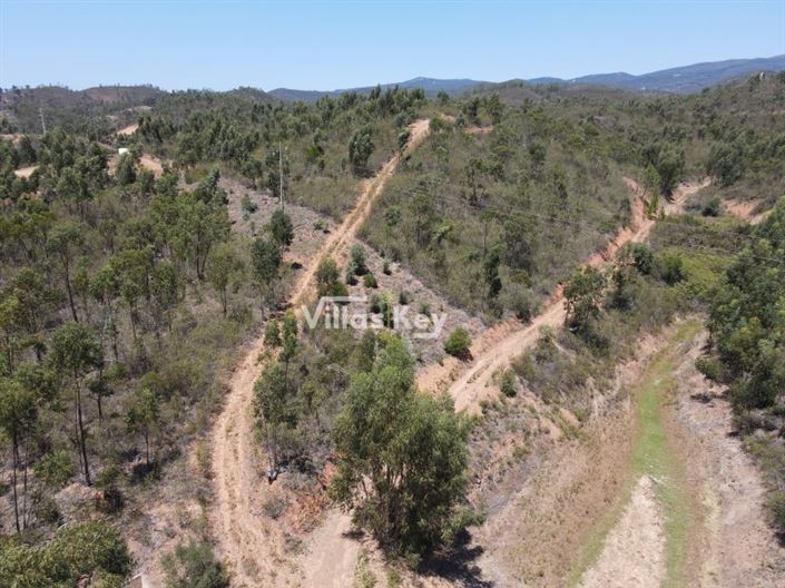 Image No.11-Plot for sale