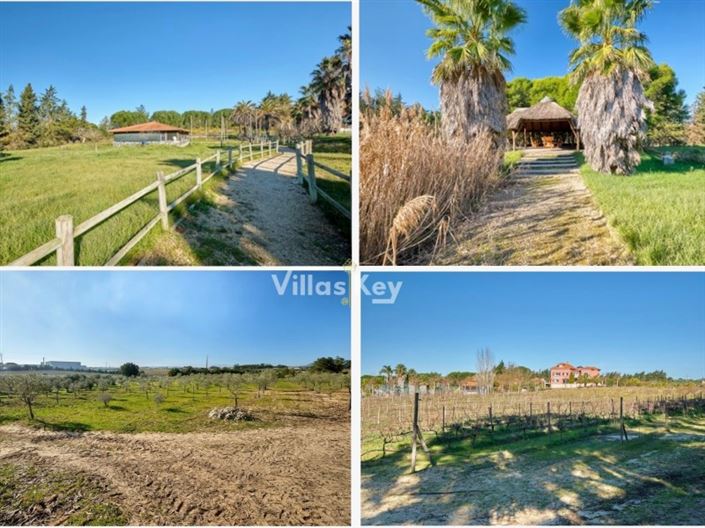 Image No.8-5 Bed House for sale