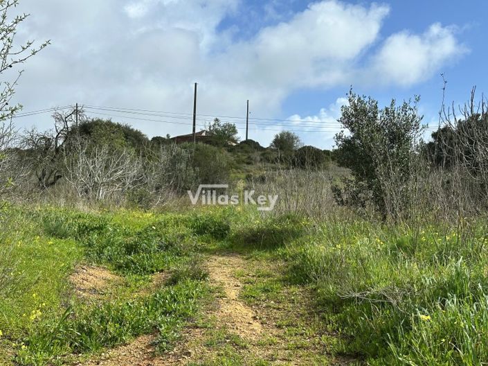 Image No.14-Plot for sale