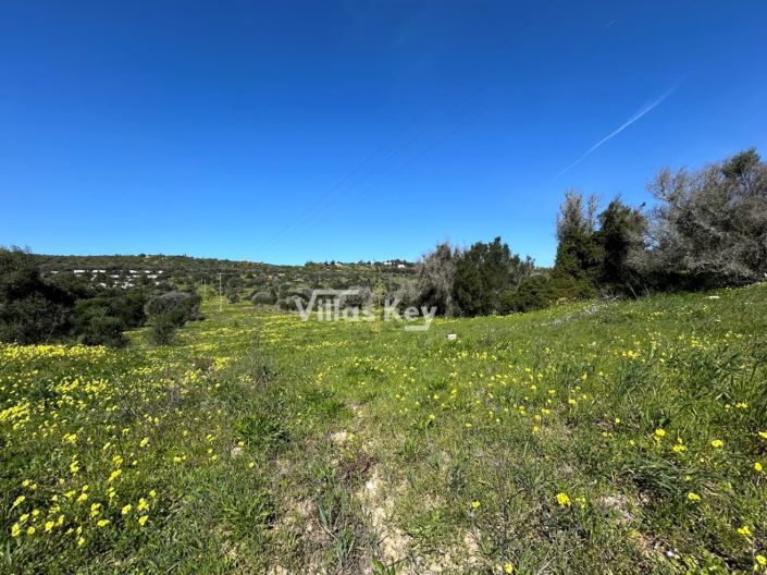 Image No.11-Plot for sale