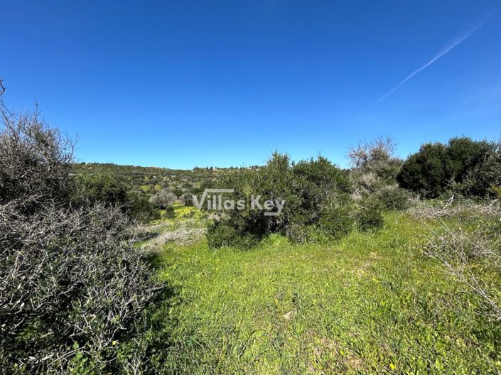 Image No.7-Plot for sale