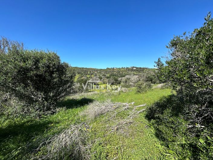 Image No.10-Plot for sale