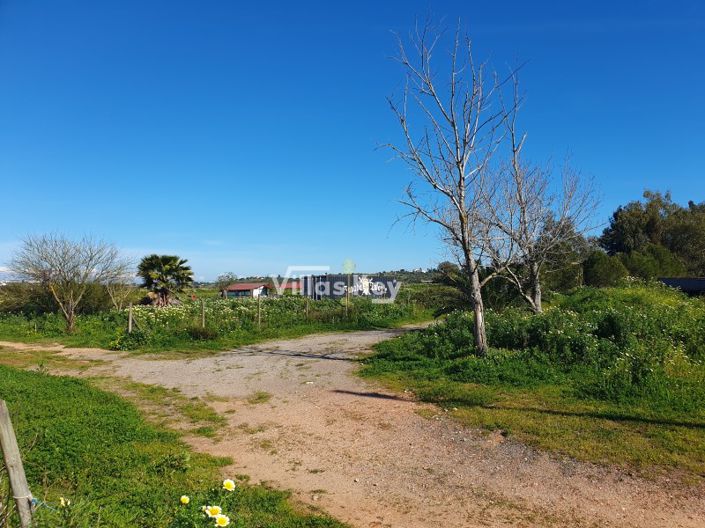 Image No.13-3 Bed Farmhouse for sale