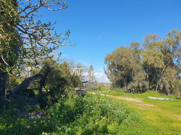 Image No.5-3 Bed Farmhouse for sale