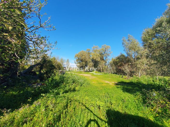 Image No.6-3 Bed Farmhouse for sale