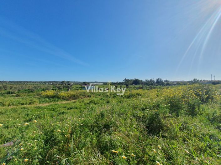 Image No.9-3 Bed Farmhouse for sale