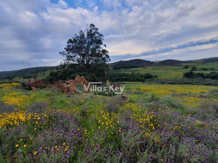 Image No.14-Plot for sale