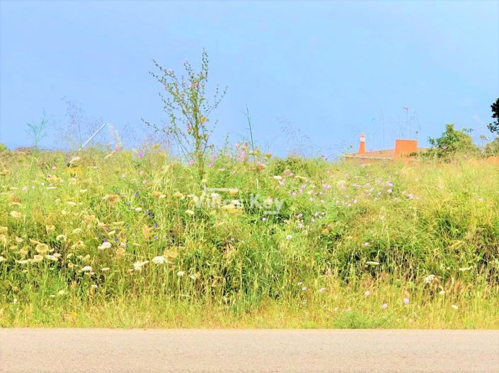 Image No.7-Plot for sale