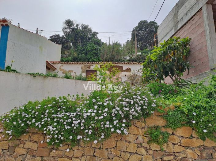 Image No.3-1 Bed House for sale