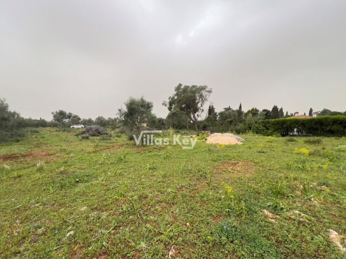 Image No.3-Plot for sale