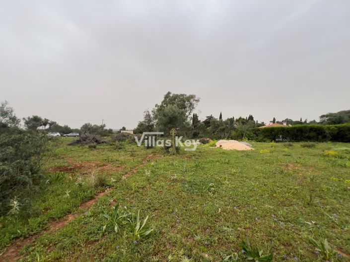 Image No.4-Plot for sale