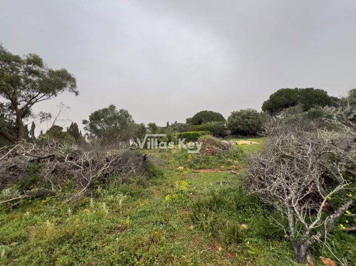 Image No.5-Plot for sale