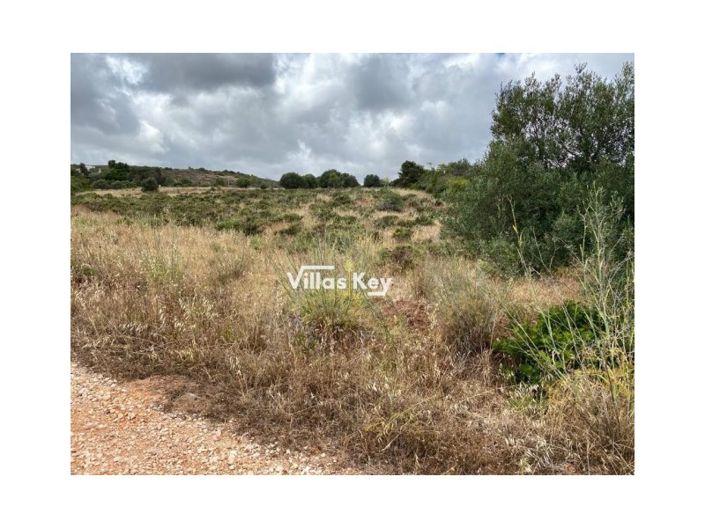 Image No.4-Plot for sale