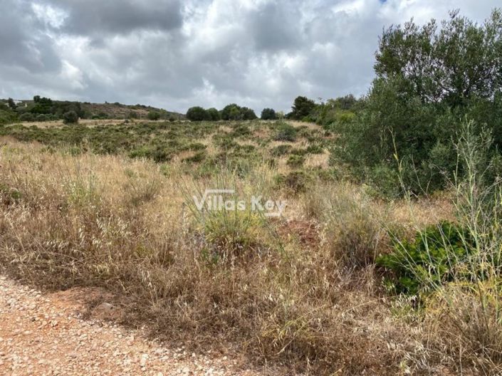 Image No.8-Plot for sale