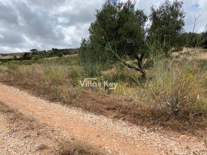 Image No.6-Plot for sale