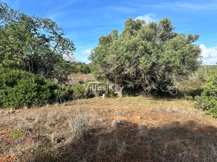 Image No.10-Plot for sale