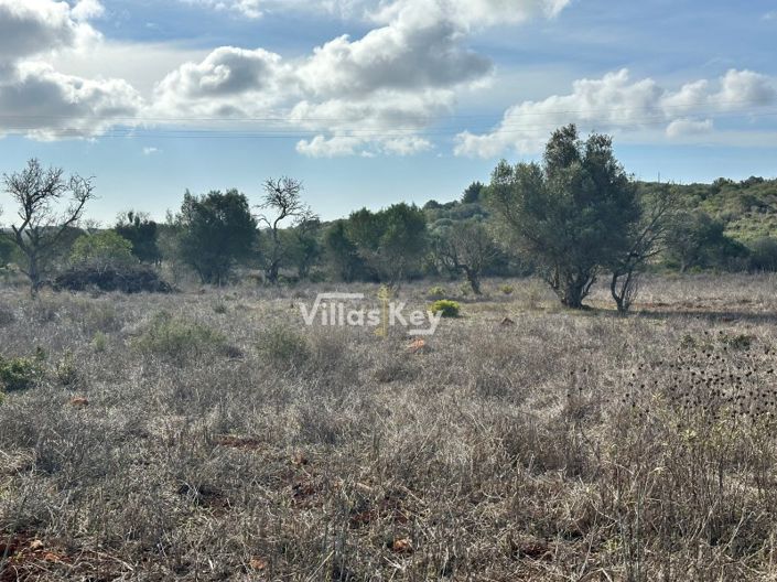 Image No.11-Plot for sale