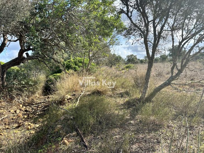 Image No.12-Plot for sale