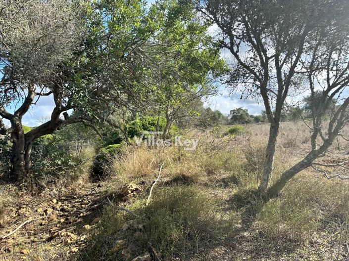 Image No.14-Plot for sale