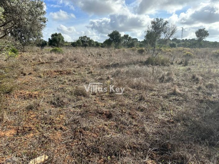 Image No.15-Plot for sale