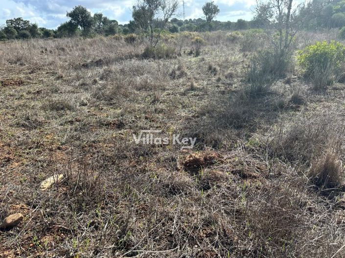 Image No.17-Plot for sale