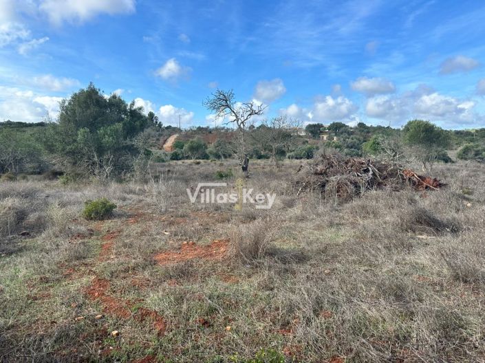 Image No.3-Plot for sale