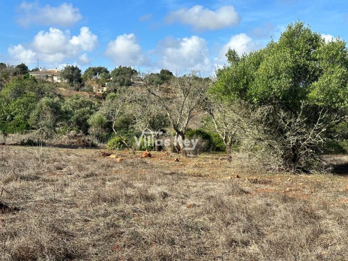 Image No.8-Plot for sale