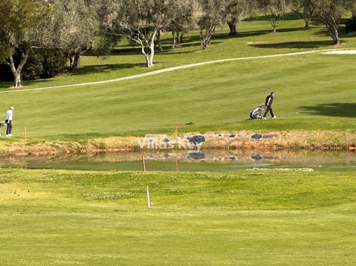 Image No.14-Plot for sale