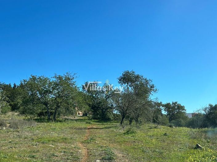 Image No.15-Plot for sale