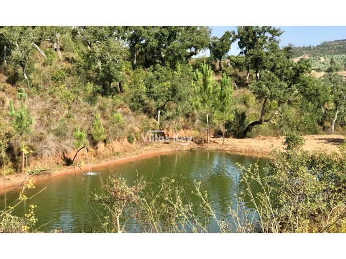 Image No.11-3 Bed Farmhouse for sale