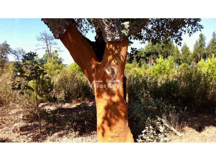 Image No.12-3 Bed Farmhouse for sale