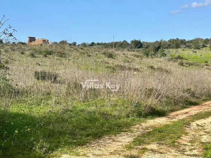 Image No.2-Plot for sale