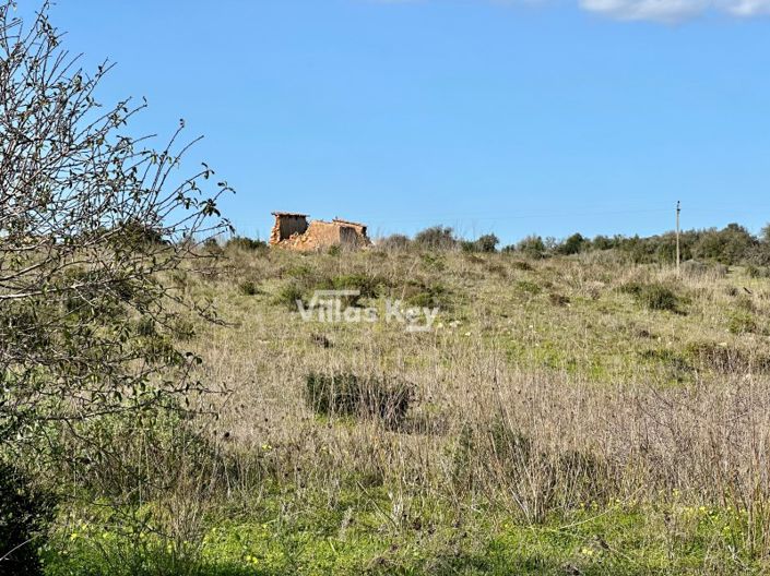 Image No.3-Plot for sale