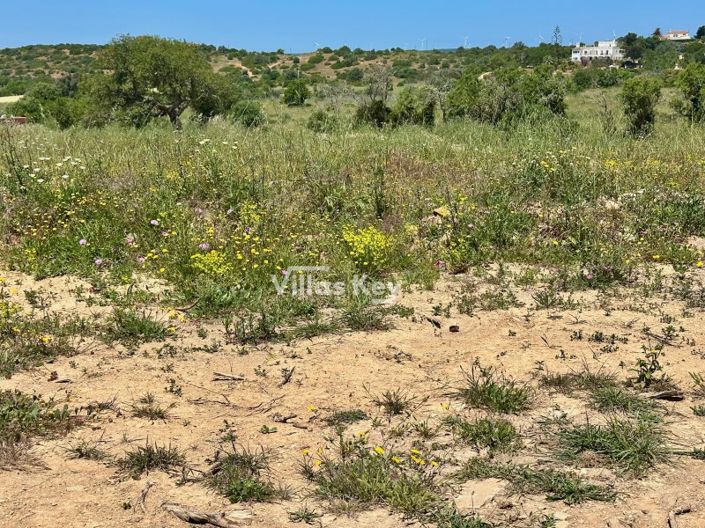 Image No.6-Plot for sale