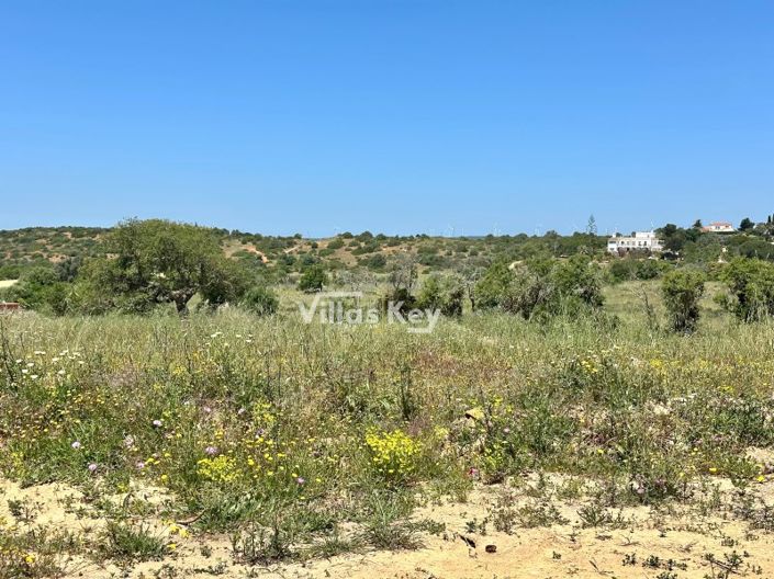 Image No.7-Plot for sale