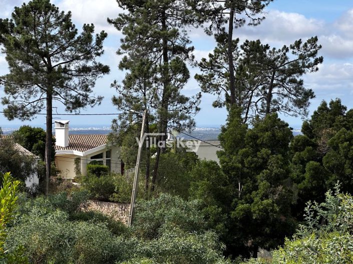 Image No.3-Plot for sale