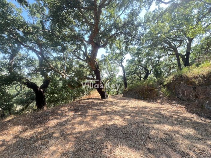 Image No.11-3 Bed Farmhouse for sale